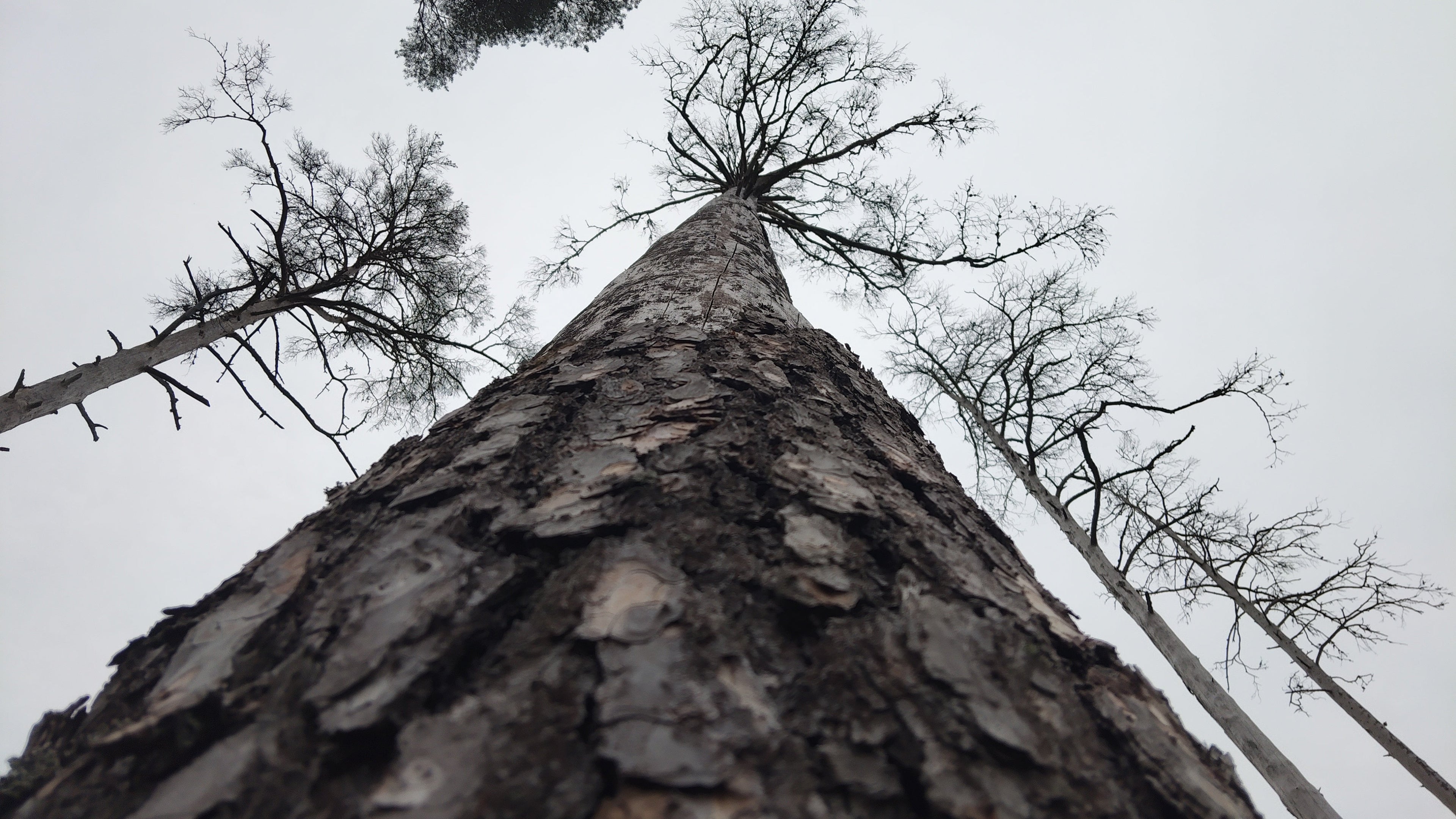 Where Nature Creates the Art | The Story Behind Feereet