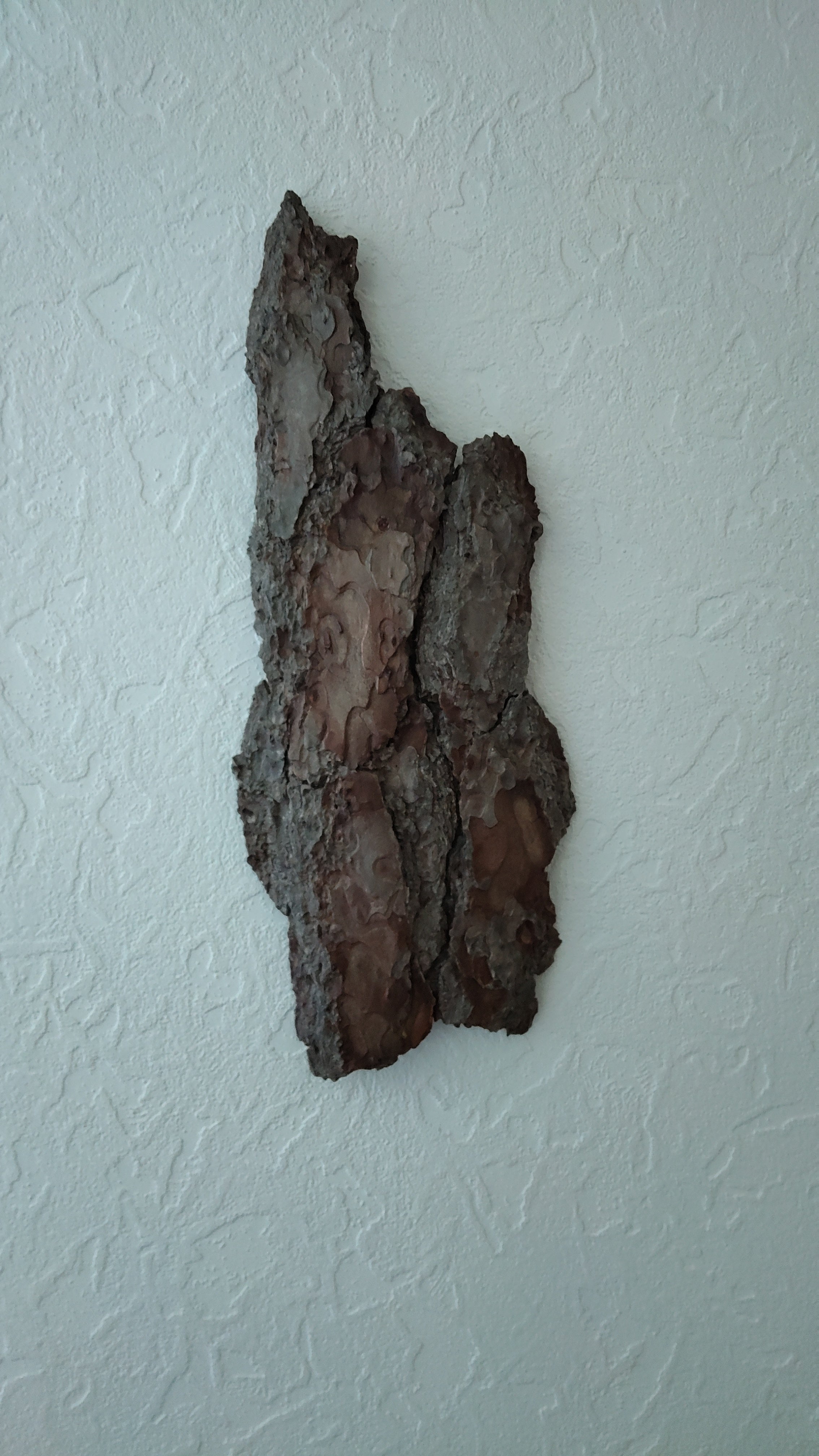 WALL DECOR - WHISPER COLLECTION 001