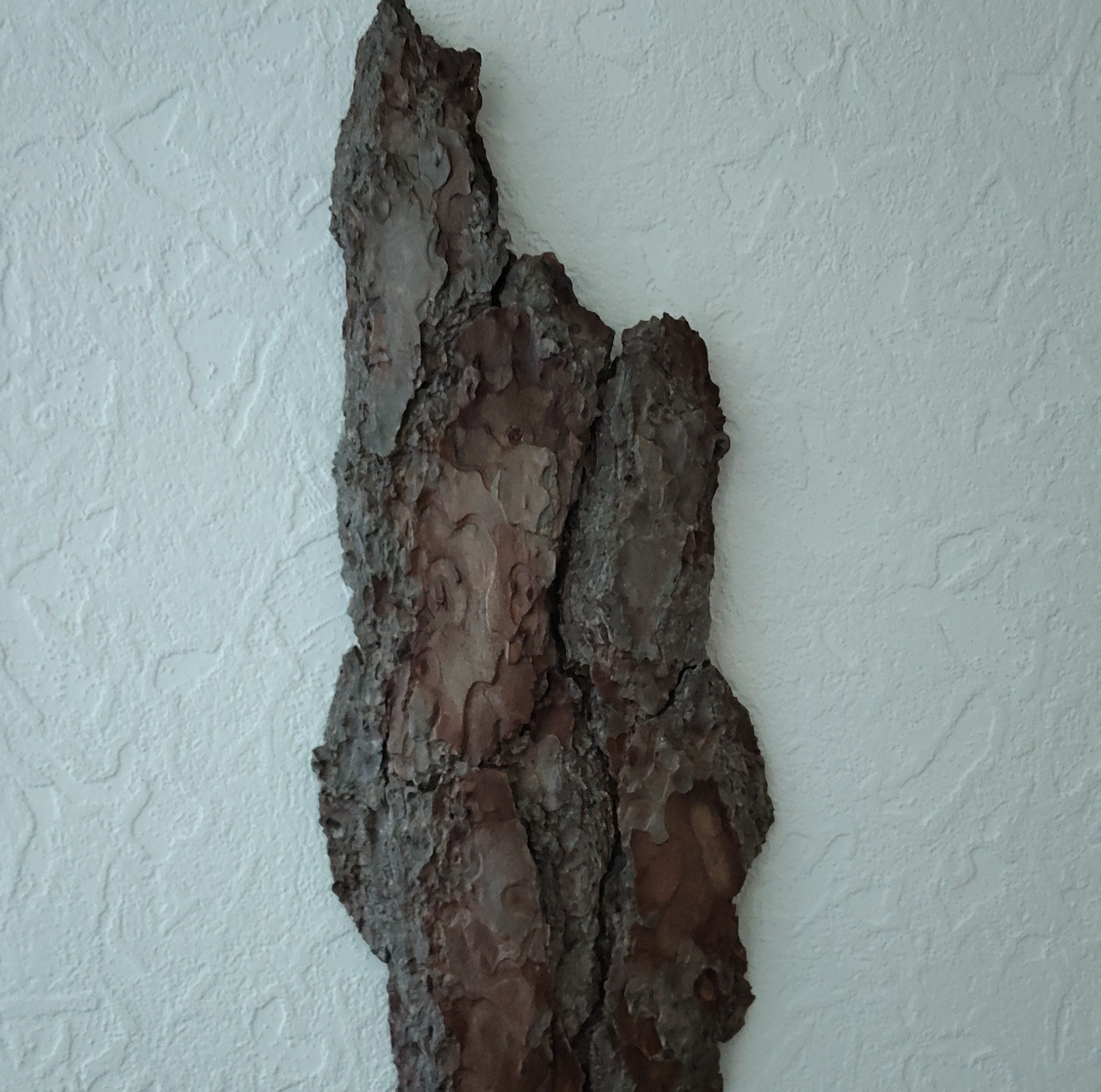 WALL DECOR - WHISPER COLLECTION 001
