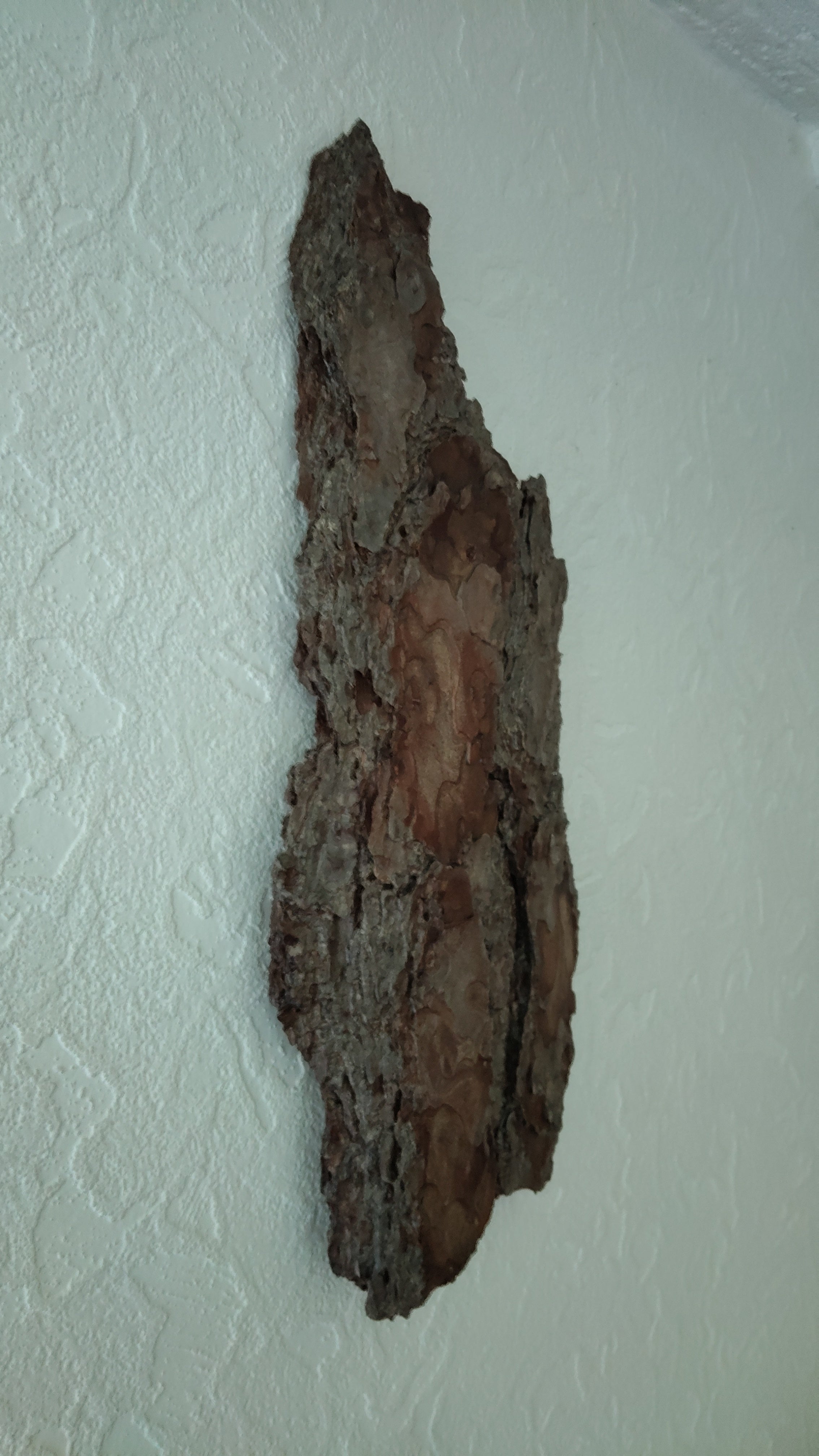 WALL DECOR - WHISPER COLLECTION 001