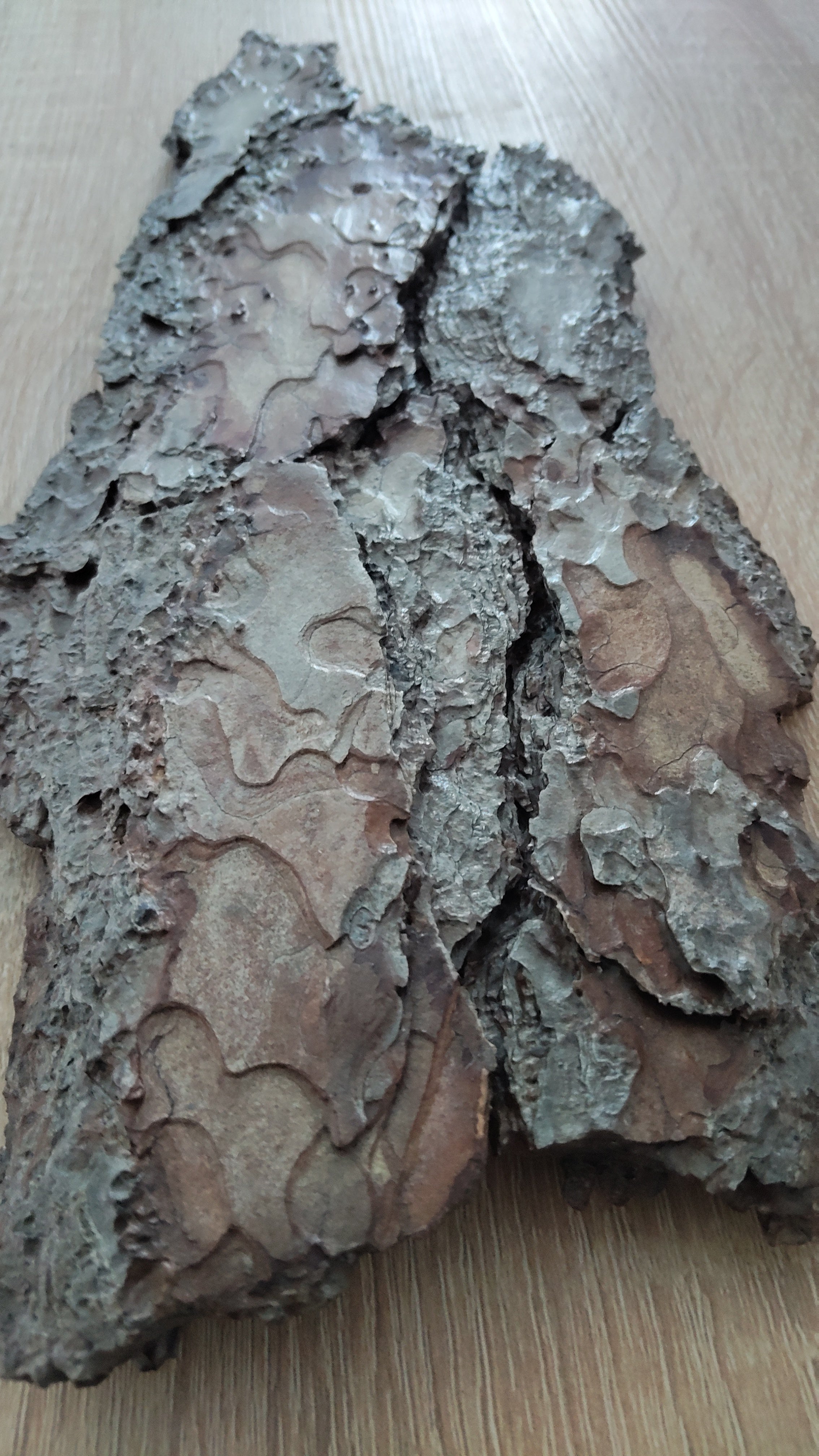 WALL DECOR - WHISPER COLLECTION 001