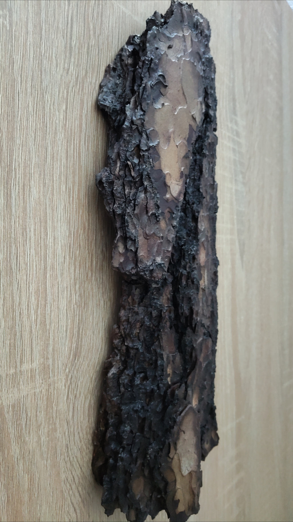 WALL DECOR - ECHO COLLECTION 001