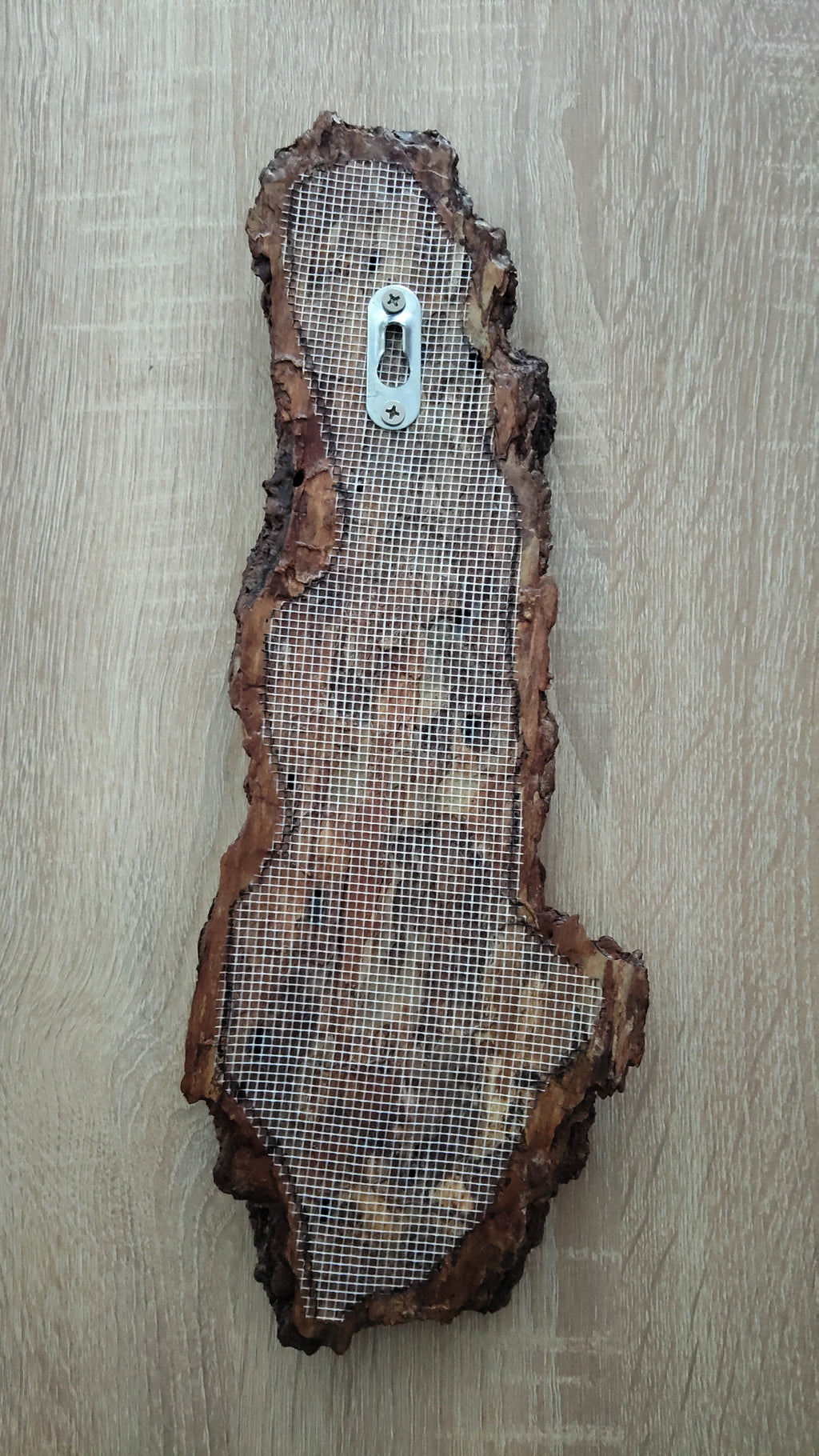WALL DECOR - ECHO COLLECTION 002