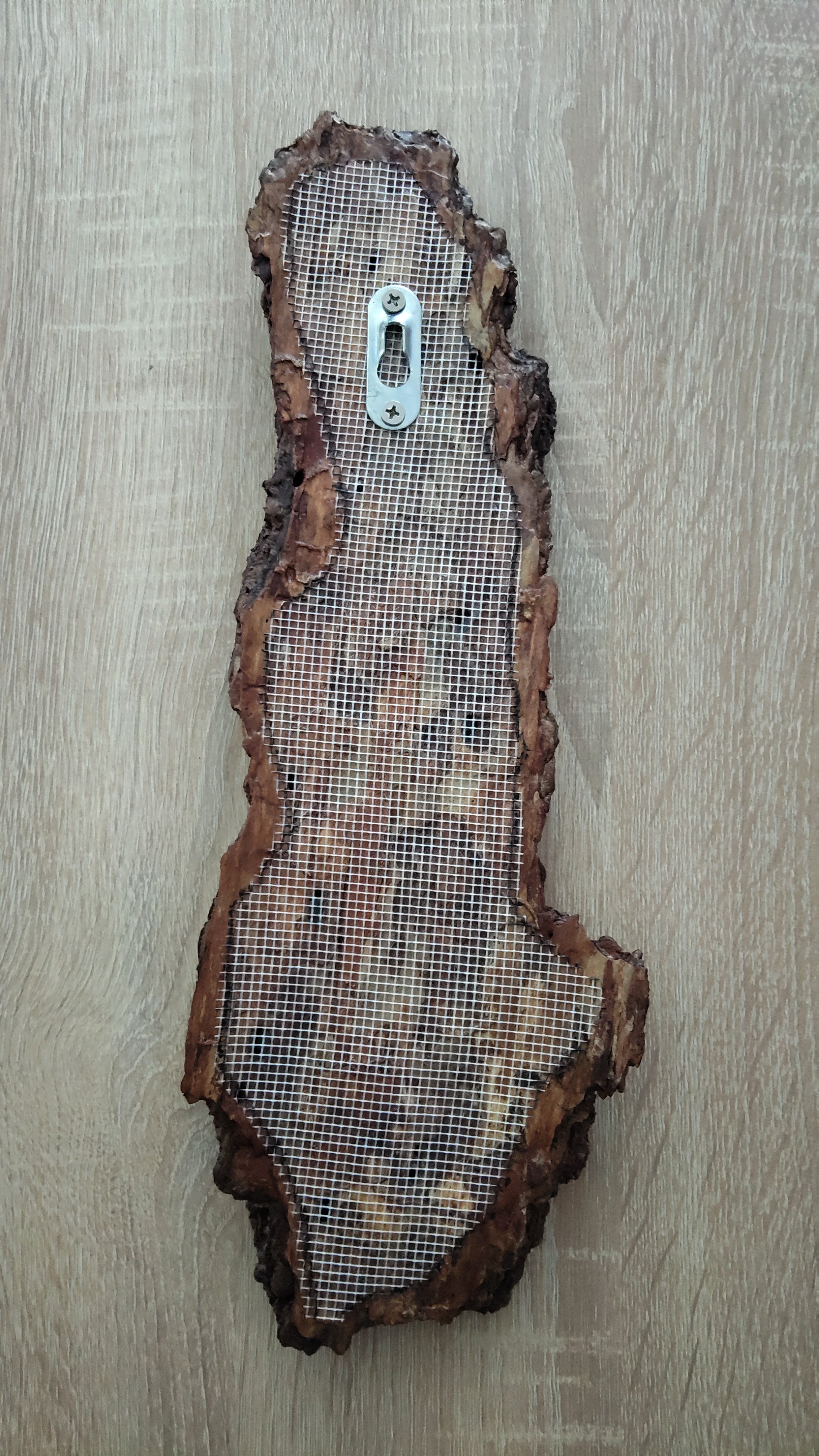 WALL DECOR - ECHO COLLECTION 002