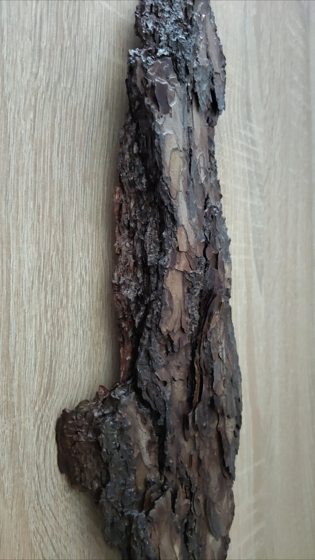 WALL DECOR - ECHO COLLECTION 002