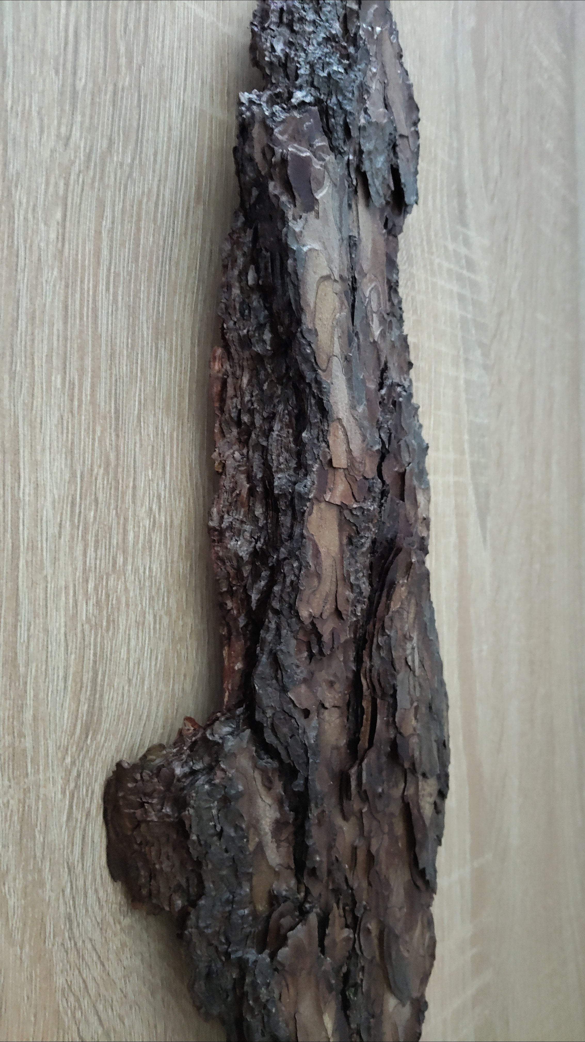 WALL DECOR - ECHO COLLECTION 002