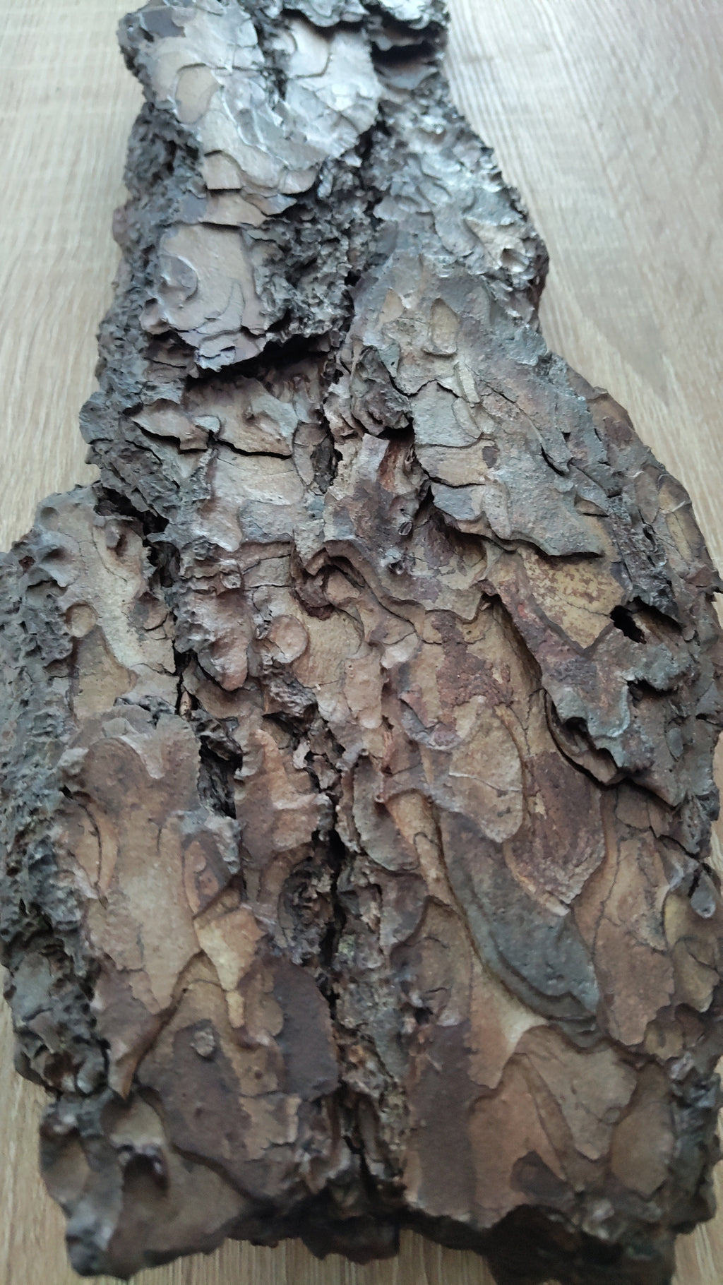 WALL DECOR - ECHO COLLECTION 002