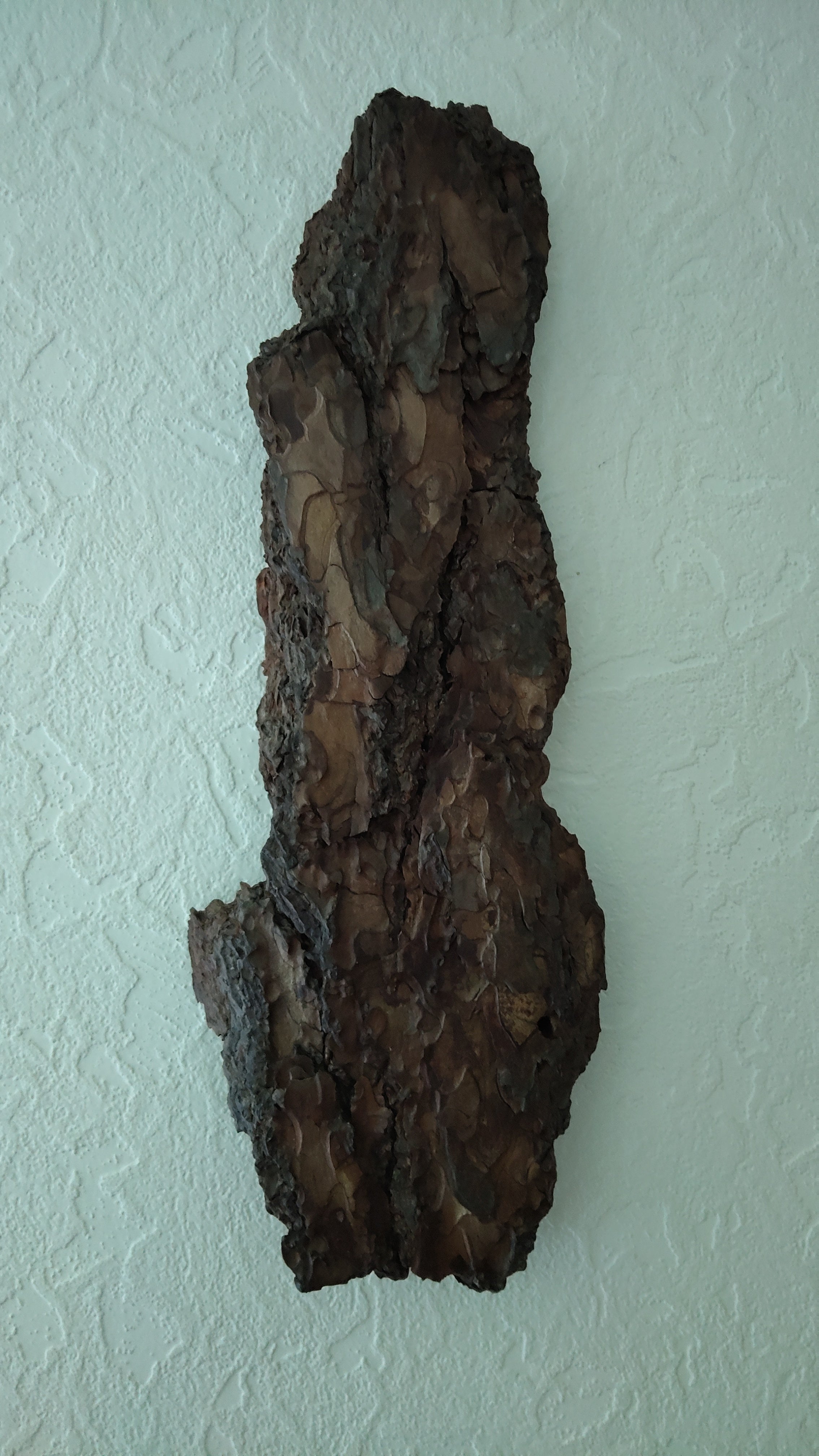 WALL DECOR - ECHO COLLECTION 002