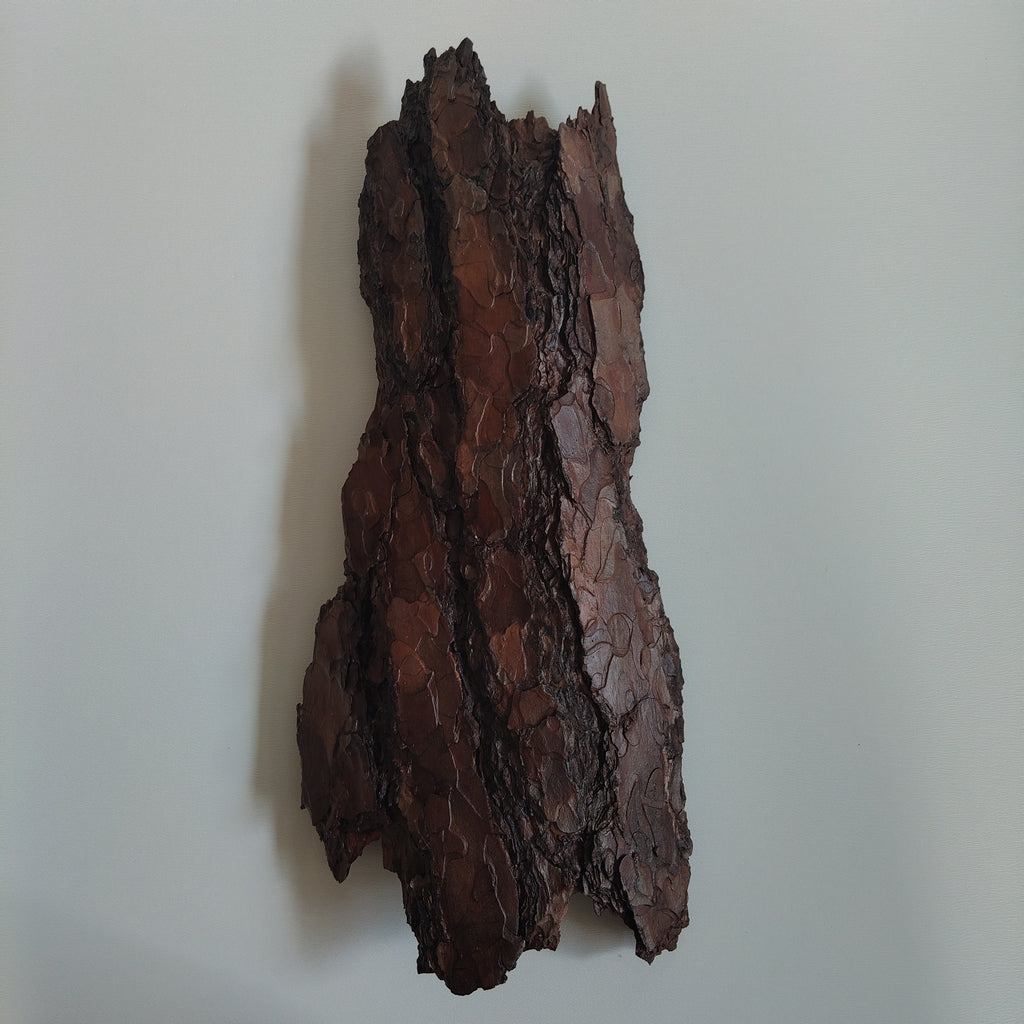 WALL DECOR - ECHO COLLECTION 003