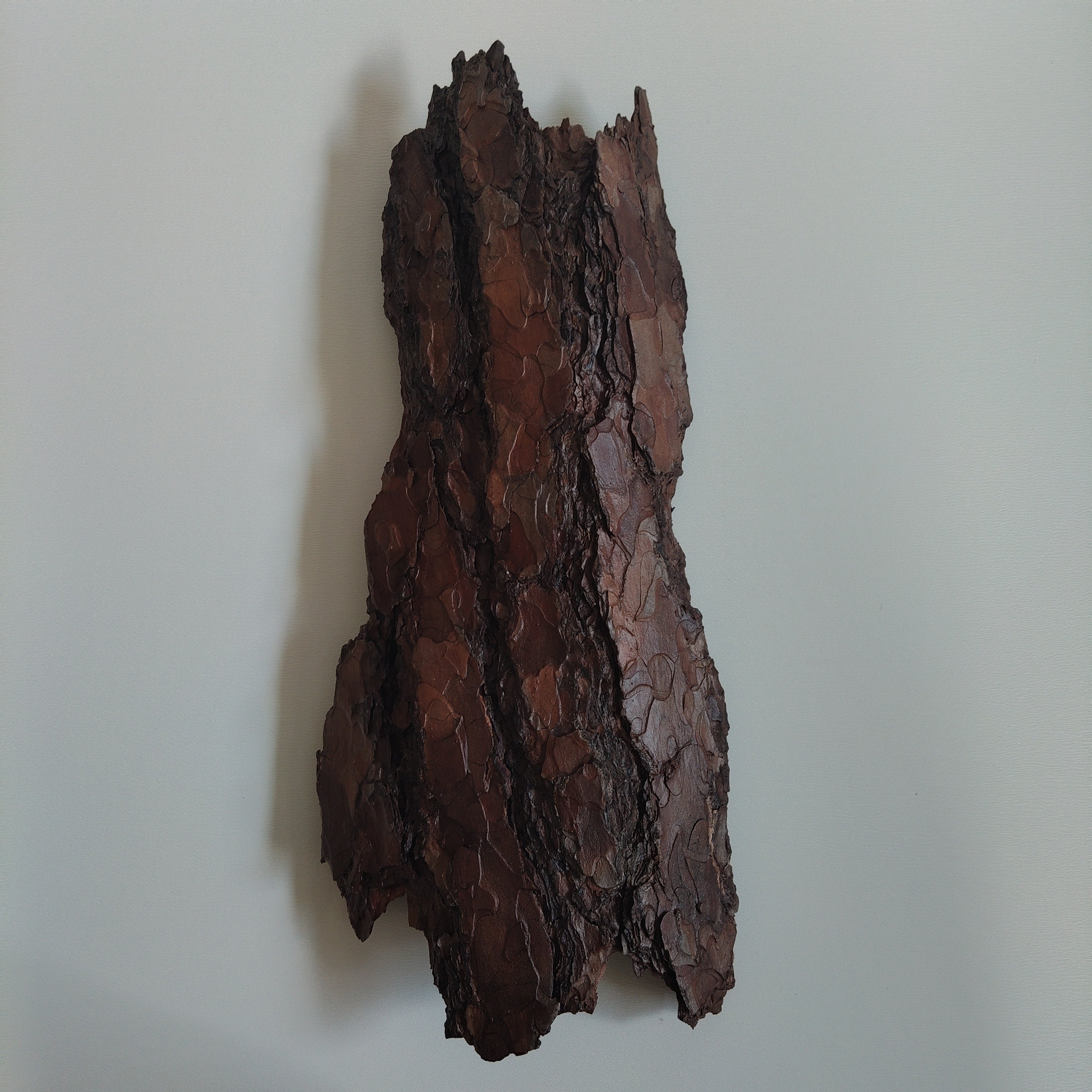 WALL DECOR - ECHO COLLECTION 003