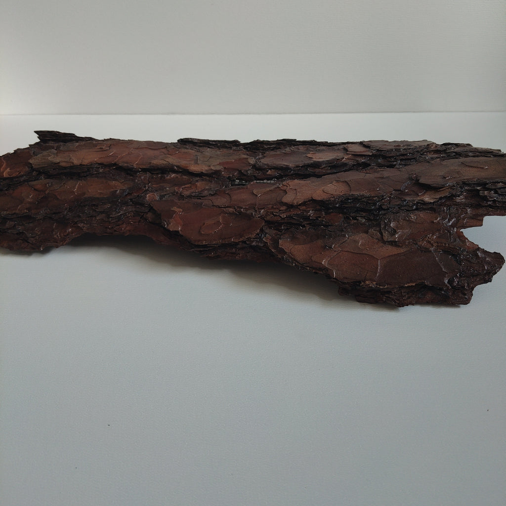 WALL DECOR - ECHO COLLECTION 003