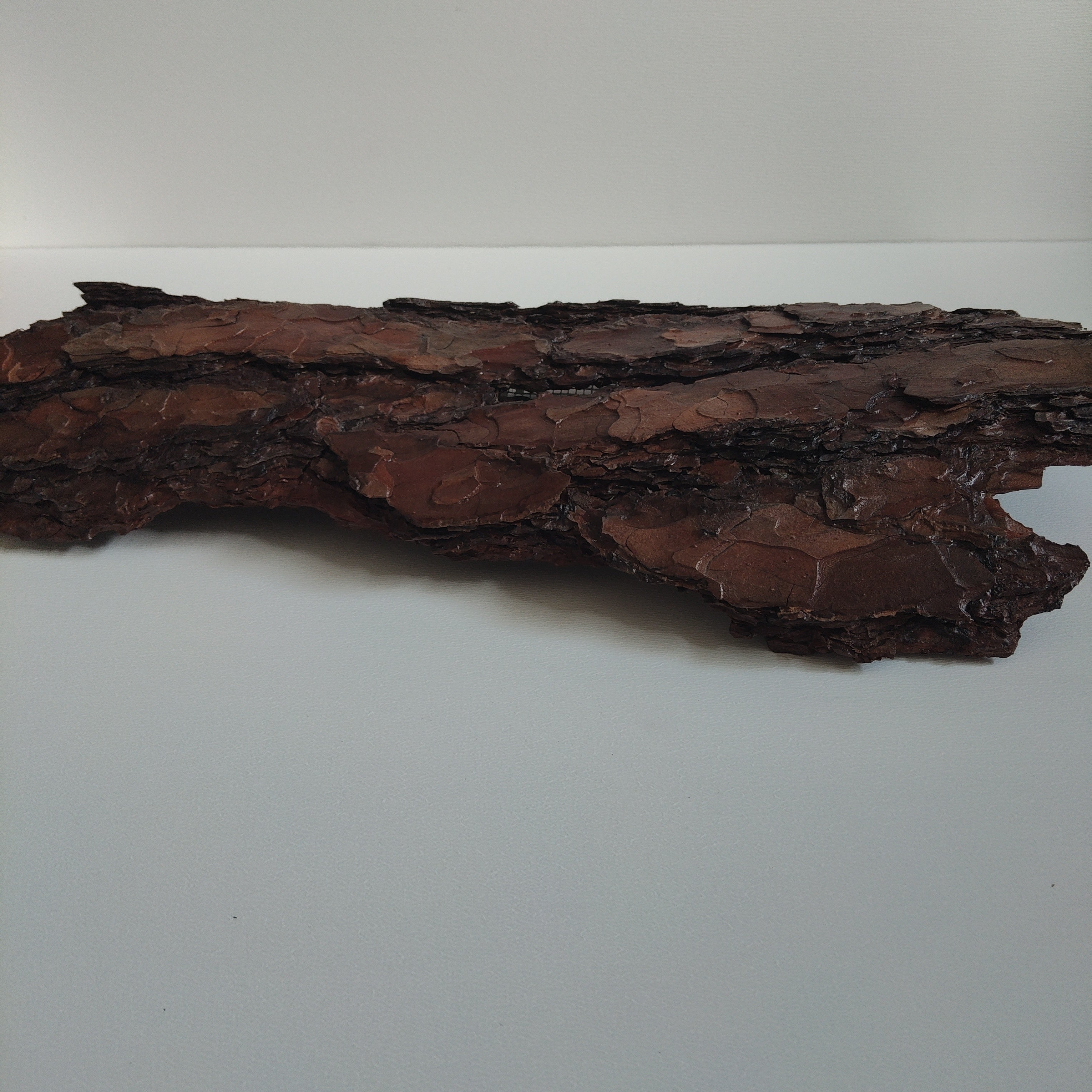 WALL DECOR - ECHO COLLECTION 003