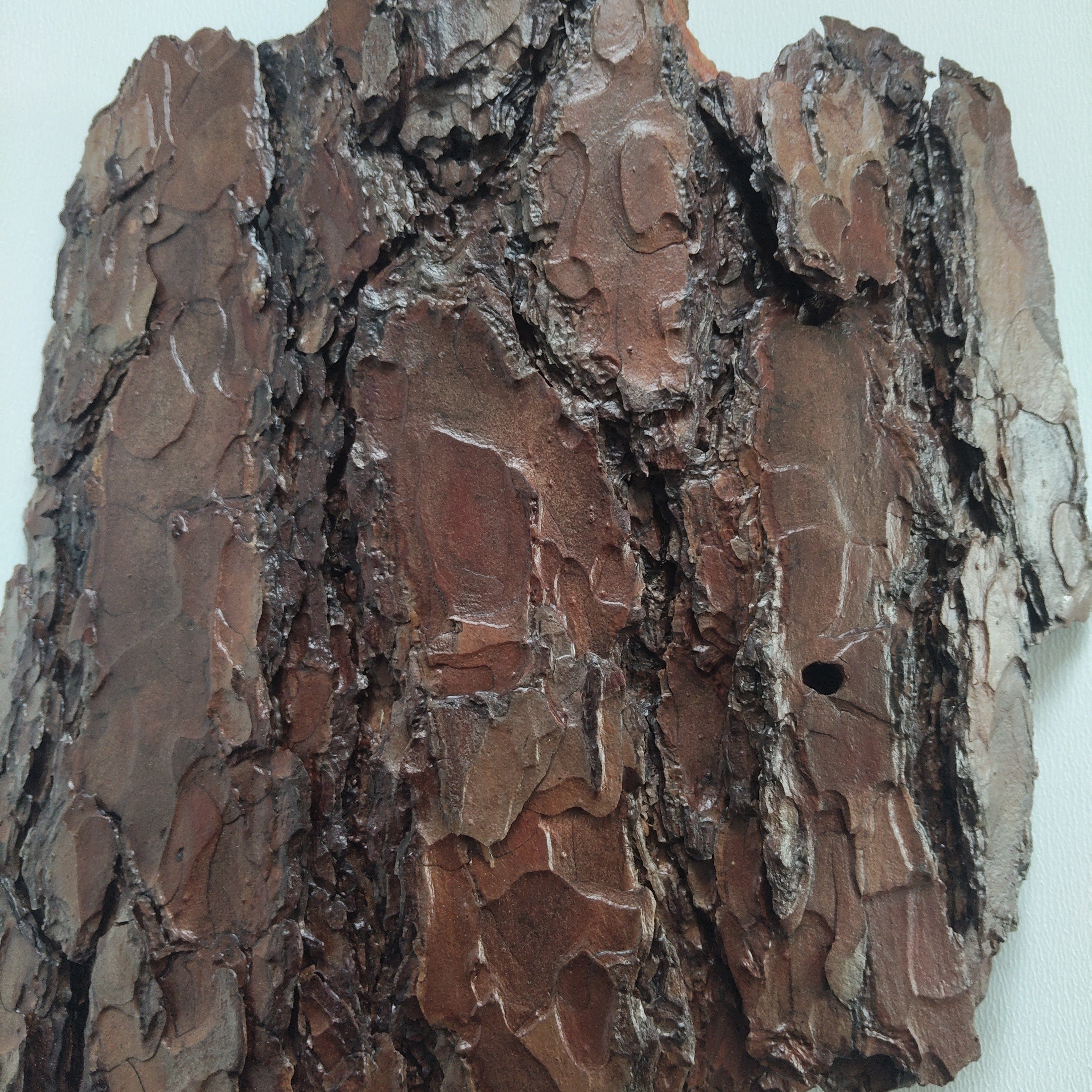 WALL DECOR - ECHO COLLECTION 004