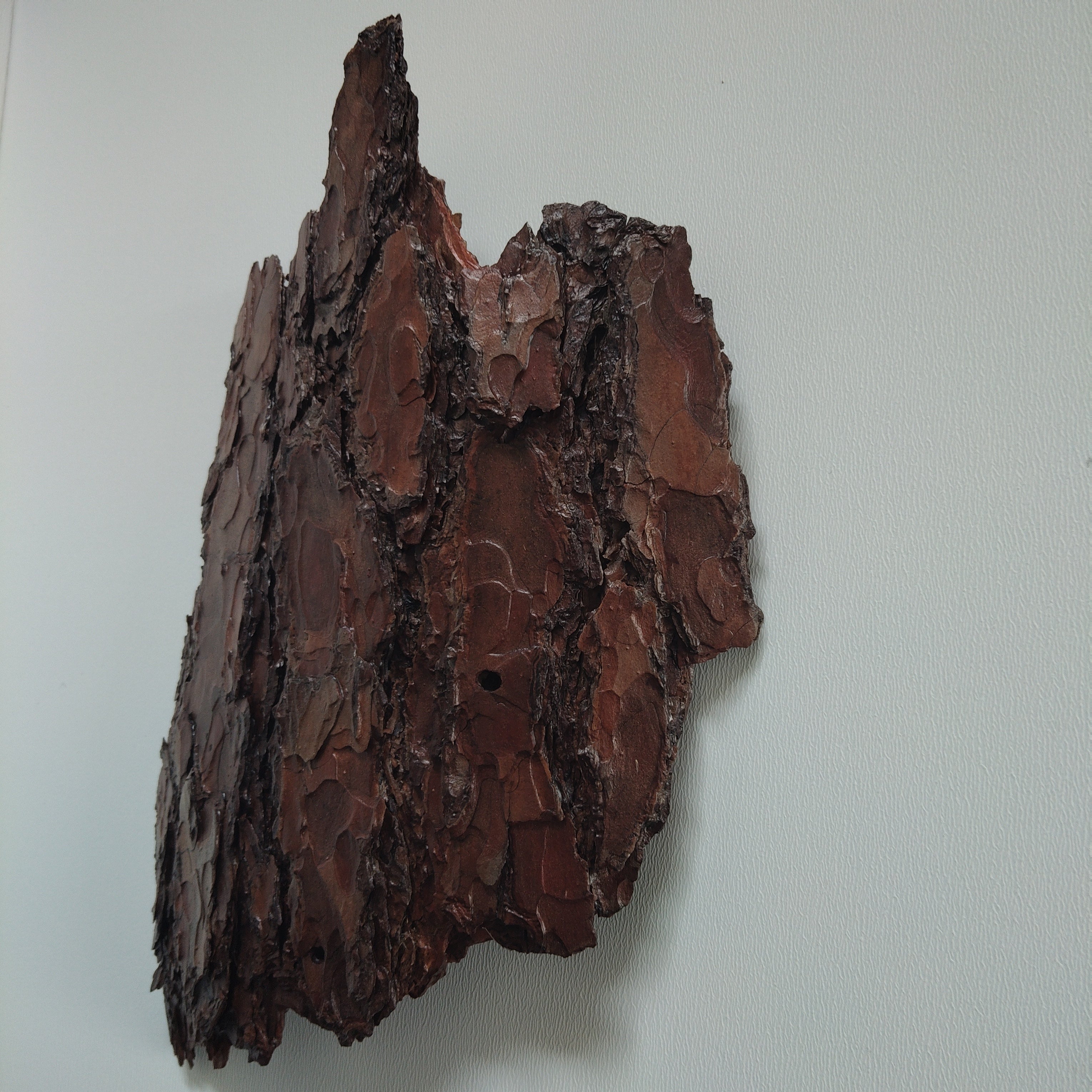 WALL DECOR - ECHO COLLECTION 004