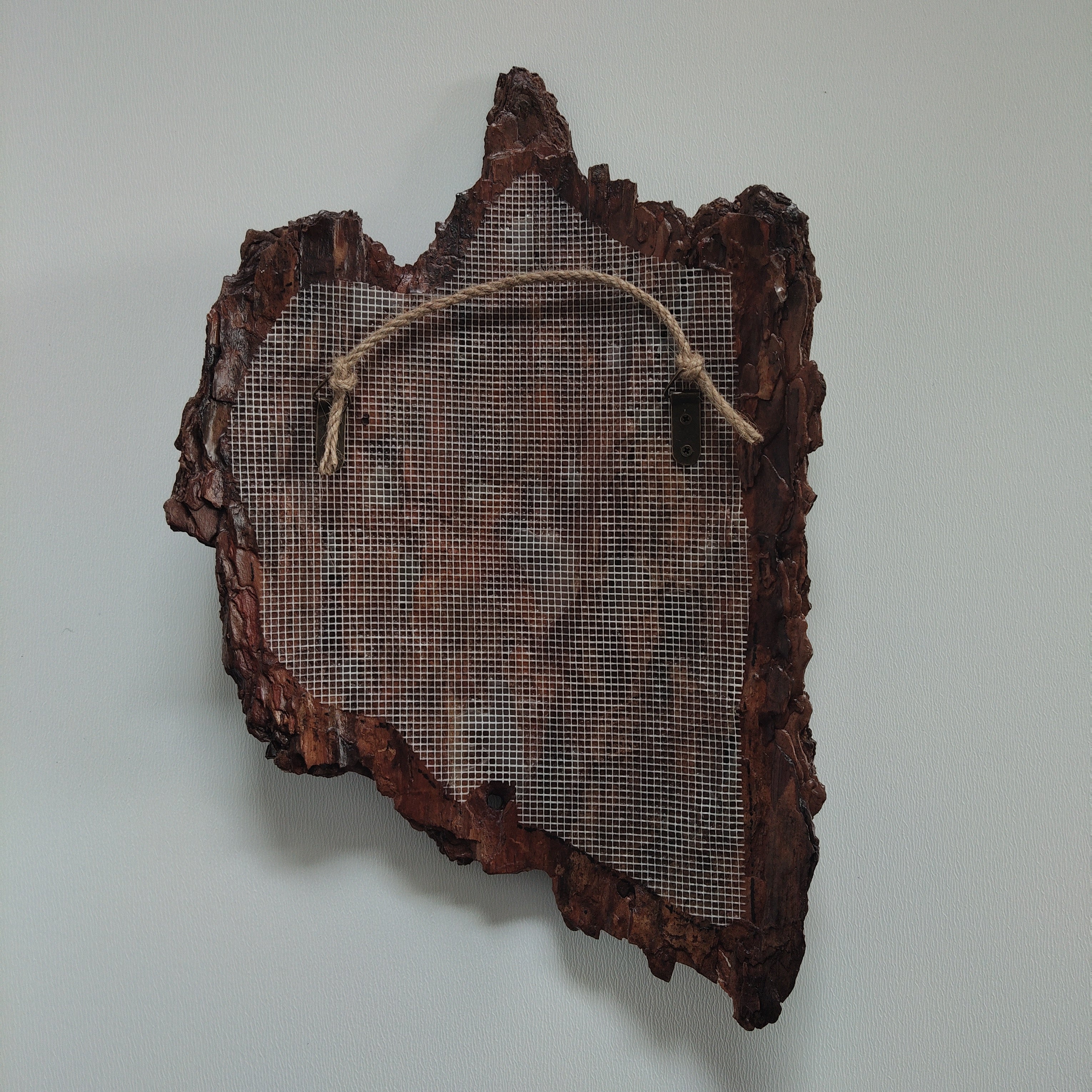 WALL DECOR - ECHO COLLECTION 004