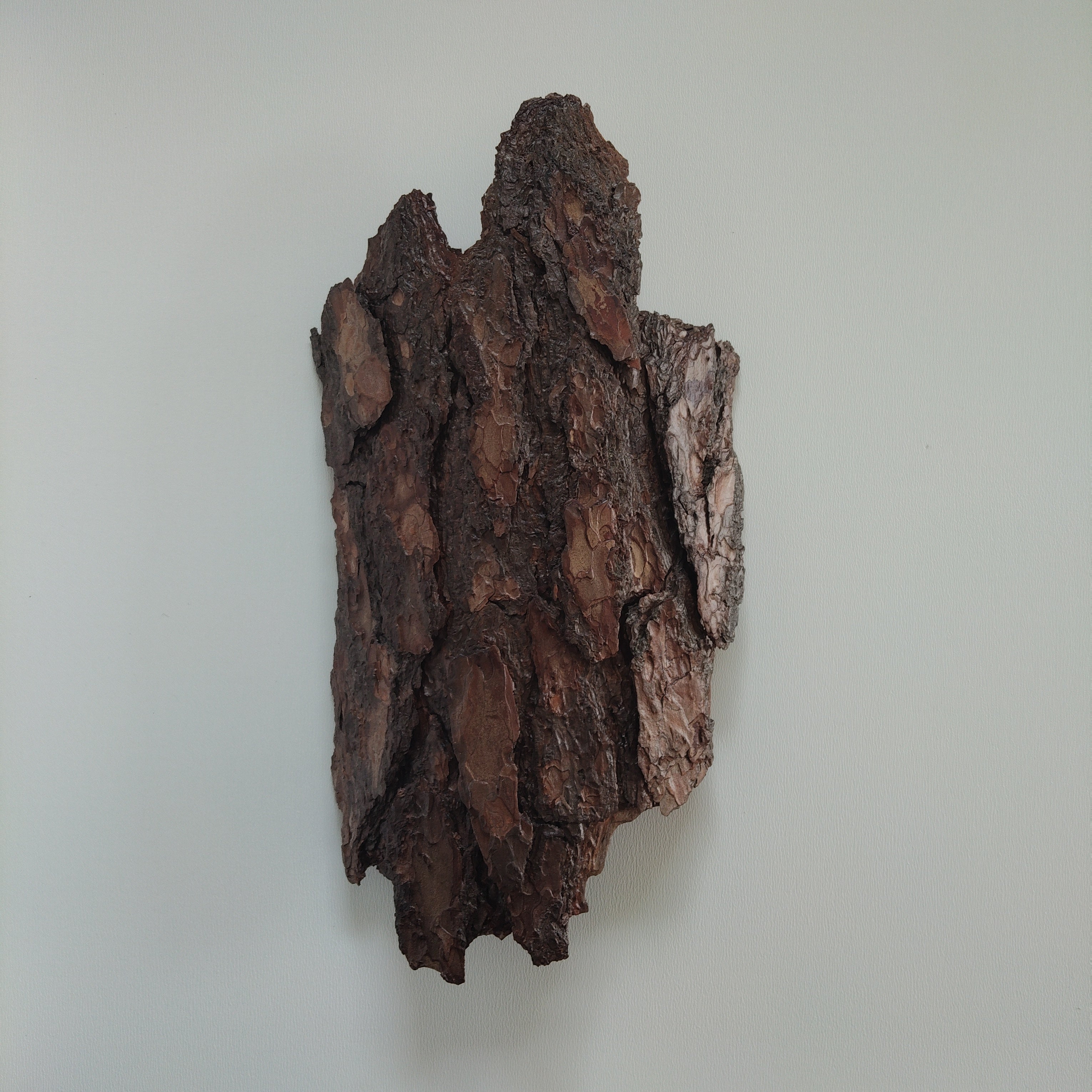 WALL DECOR - ECHO COLLECTION 005