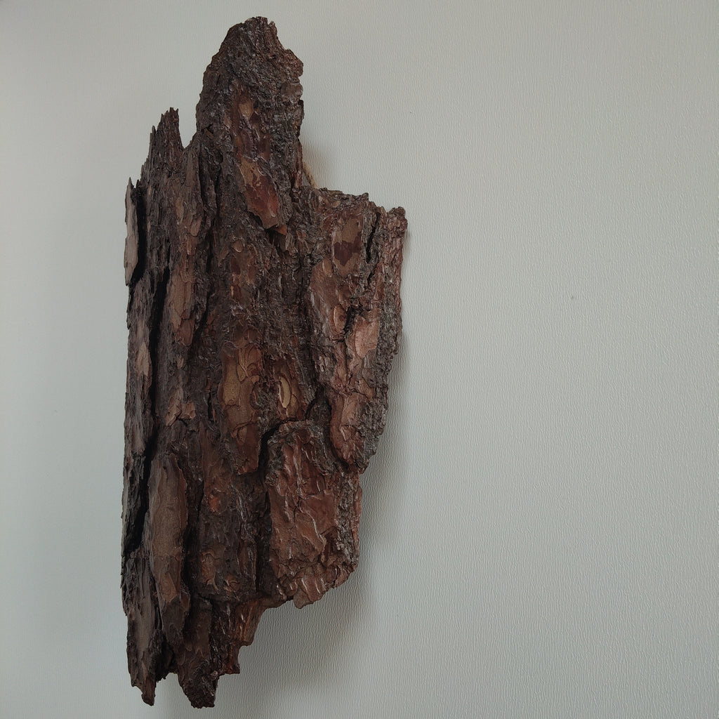 WALL DECOR - ECHO COLLECTION 005