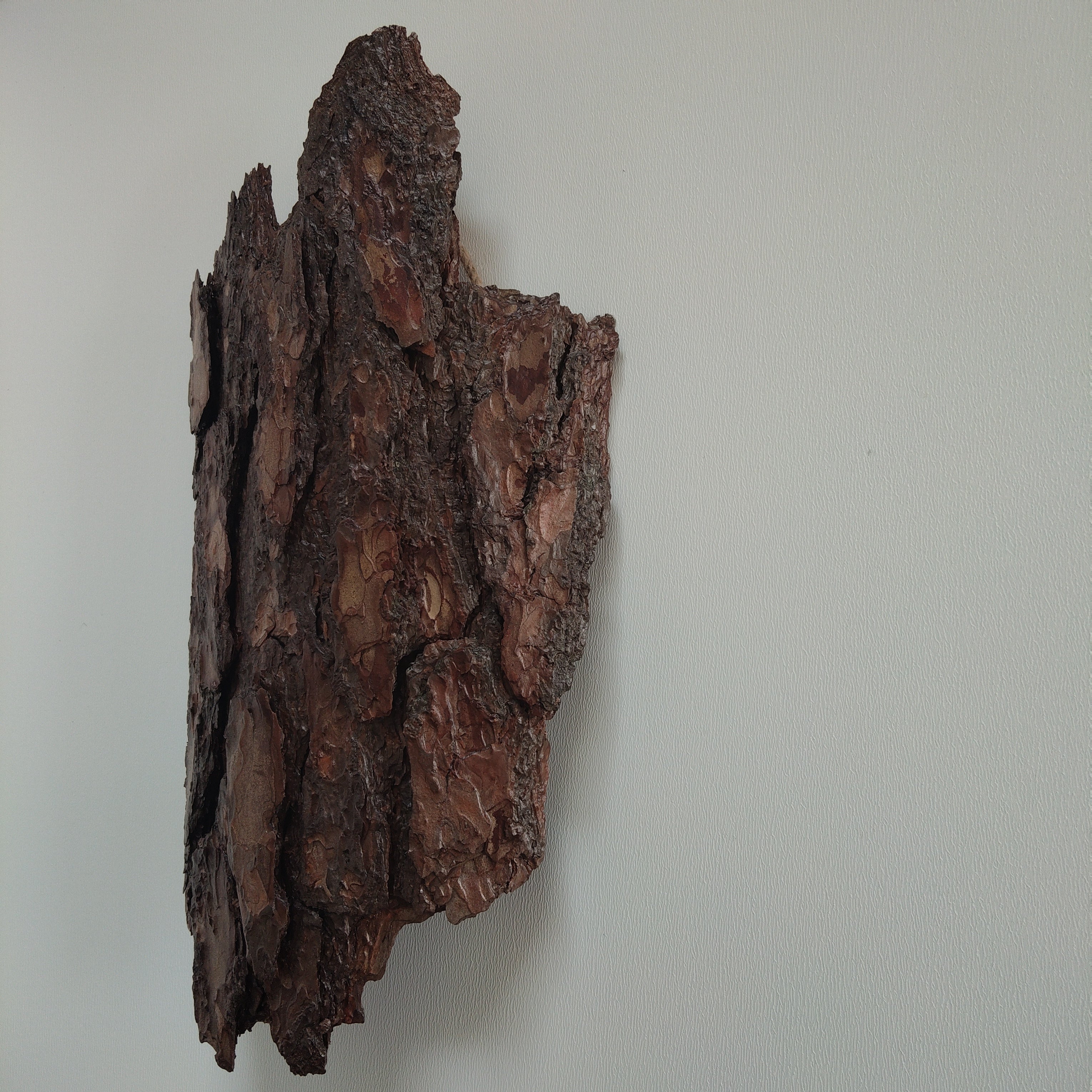 WALL DECOR - ECHO COLLECTION 005