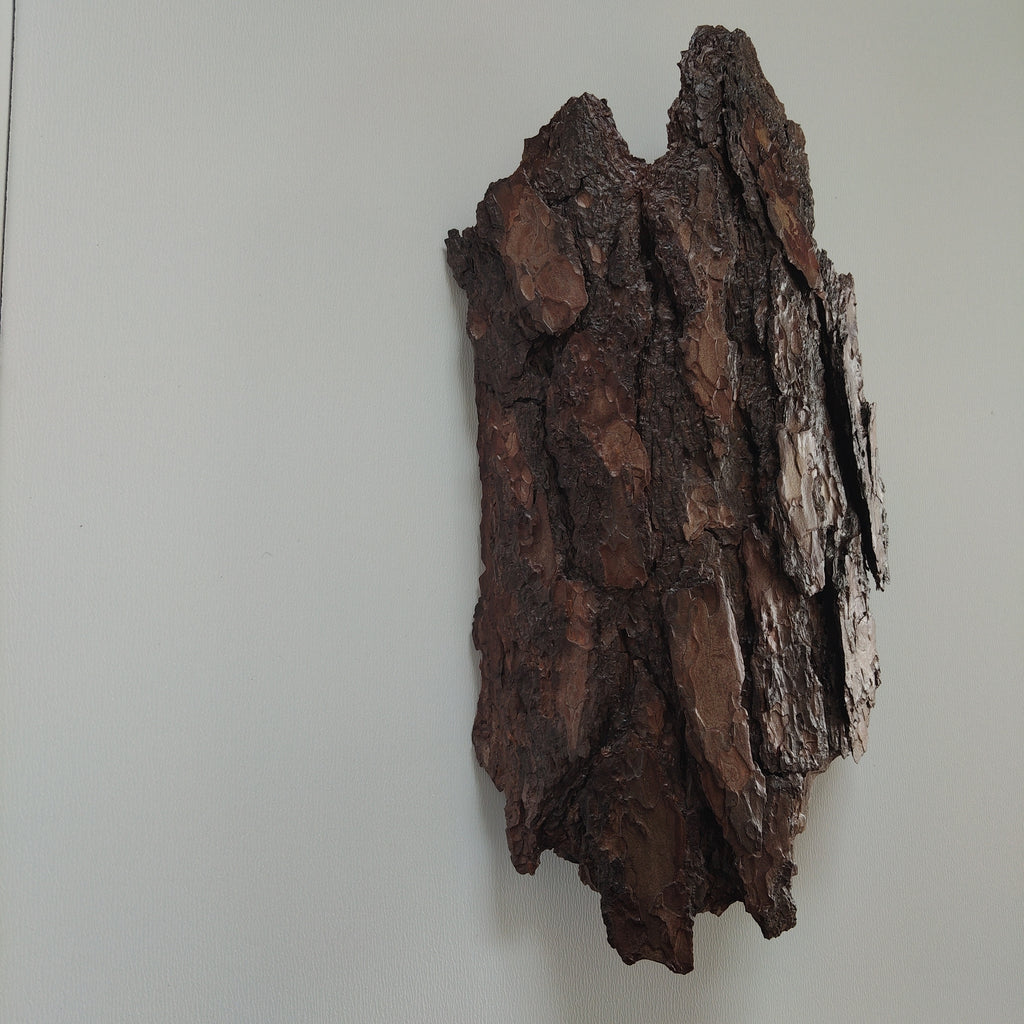 WALL DECOR - ECHO COLLECTION 005