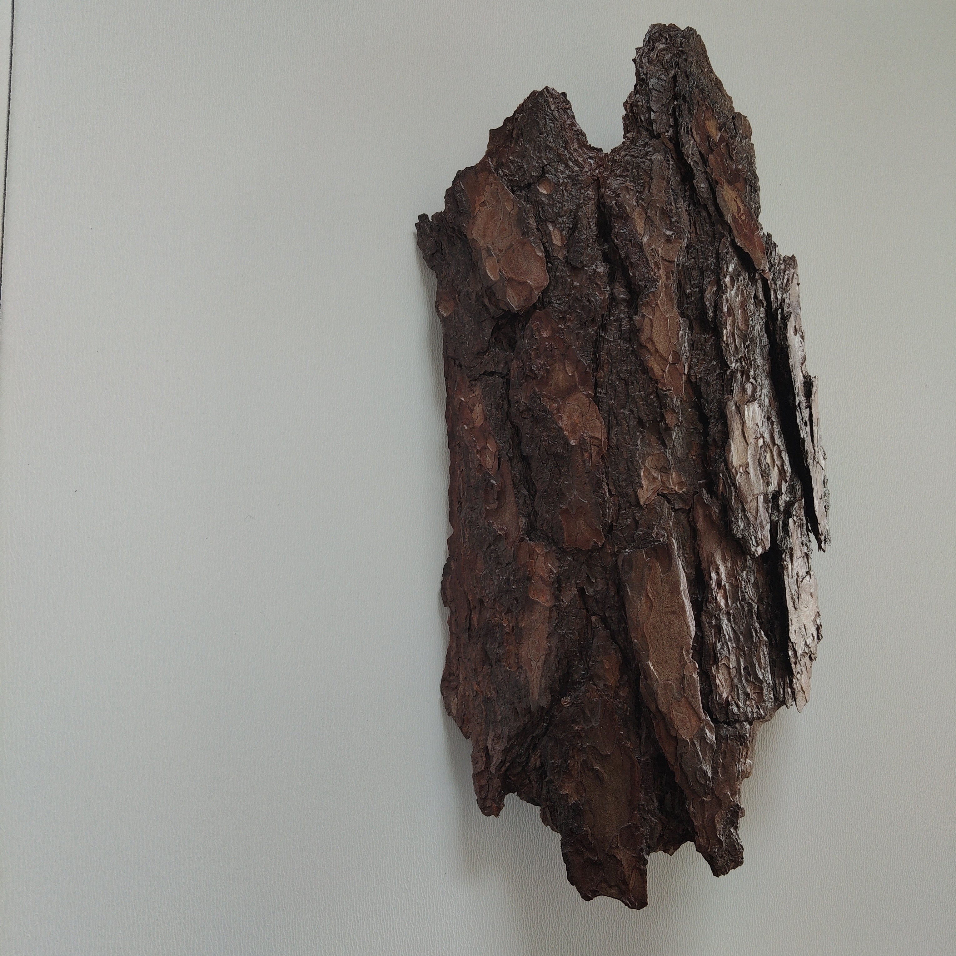WALL DECOR - ECHO COLLECTION 005