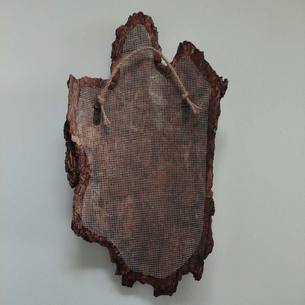 WALL DECOR - ECHO COLLECTION 005