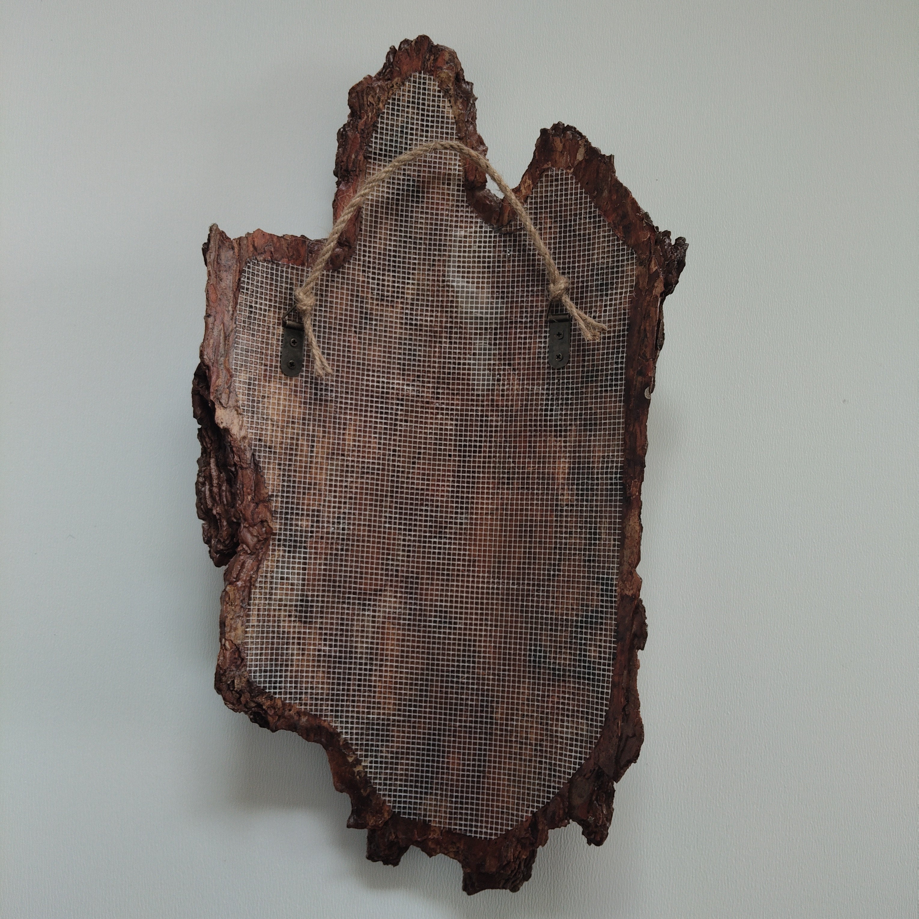 WALL DECOR - ECHO COLLECTION 005