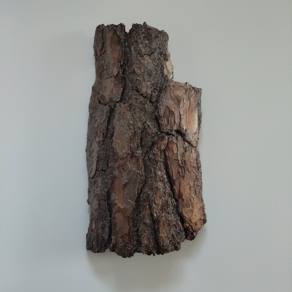 WALL DECOR - WHISPER COLLECTION 002