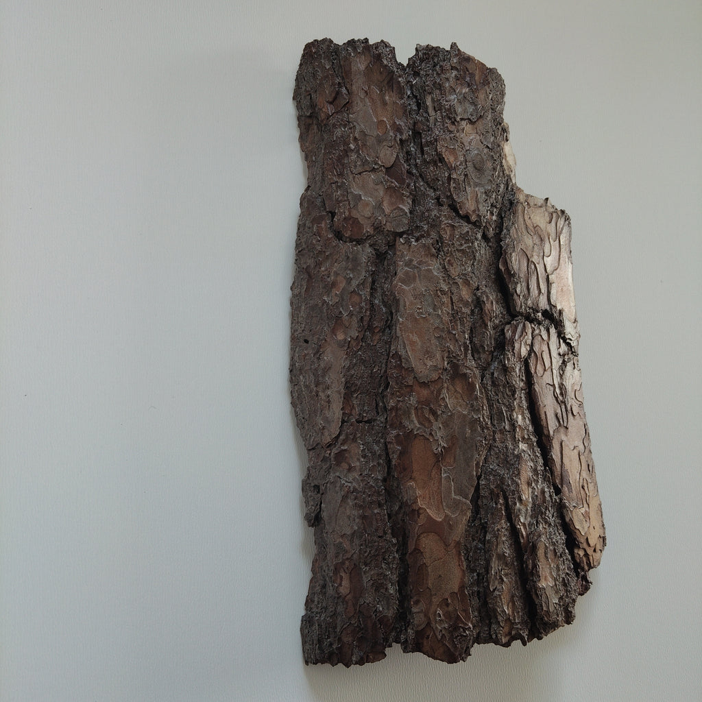 WALL DECOR - WHISPER COLLECTION 002