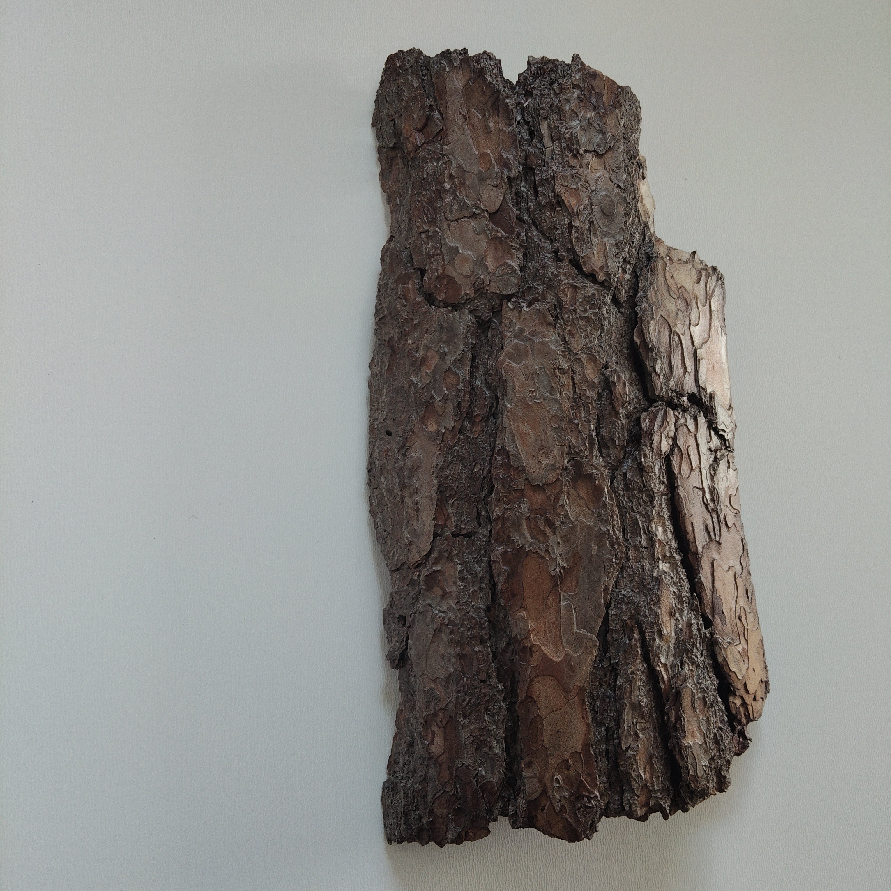 WALL DECOR - WHISPER COLLECTION 002
