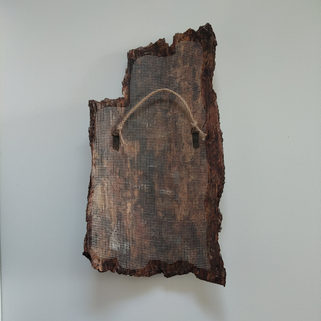WALL DECOR - WHISPER COLLECTION 002