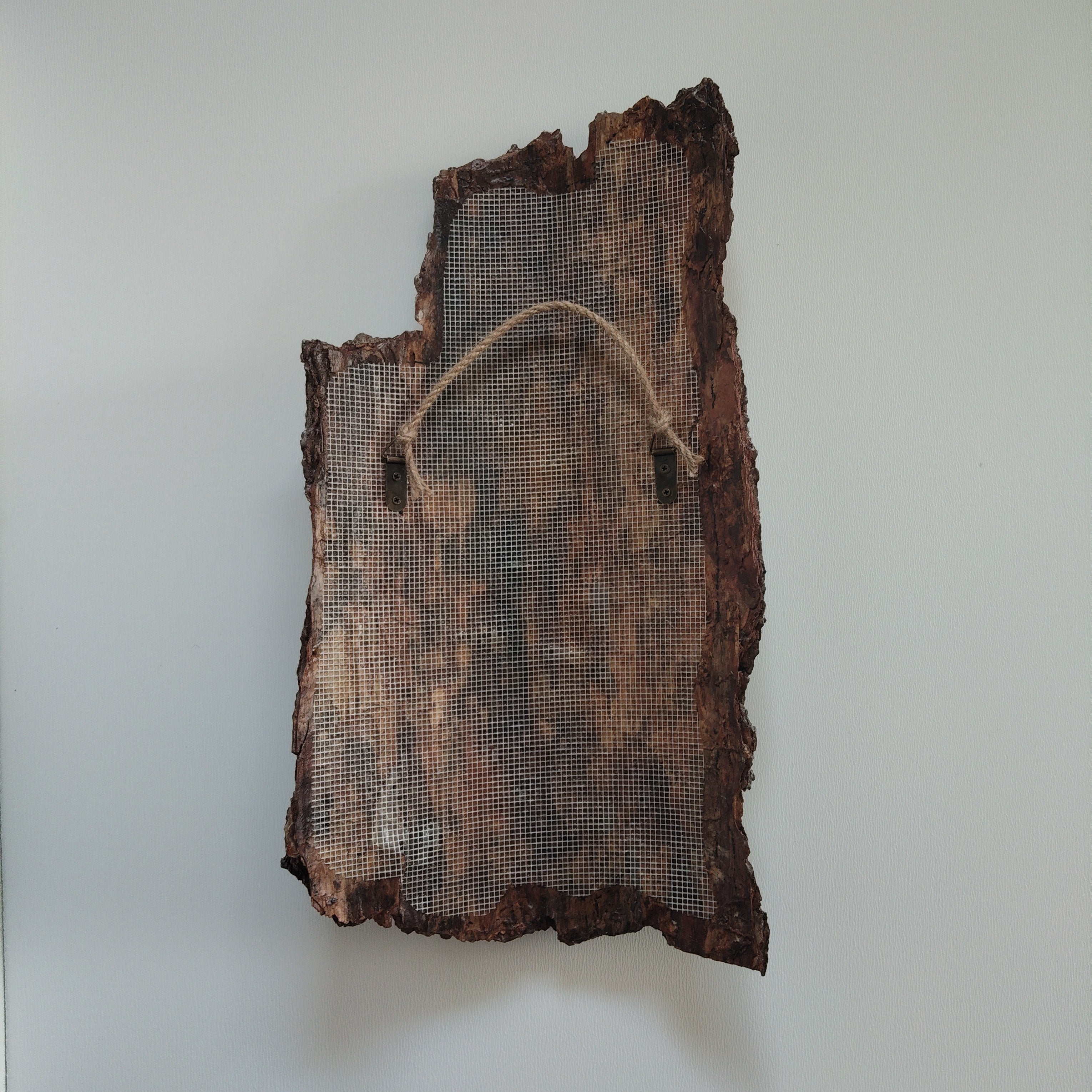 WALL DECOR - WHISPER COLLECTION 002