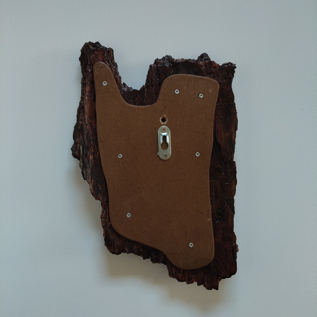 TROPHY MOUNT | SYLVAN COLLECTION 005