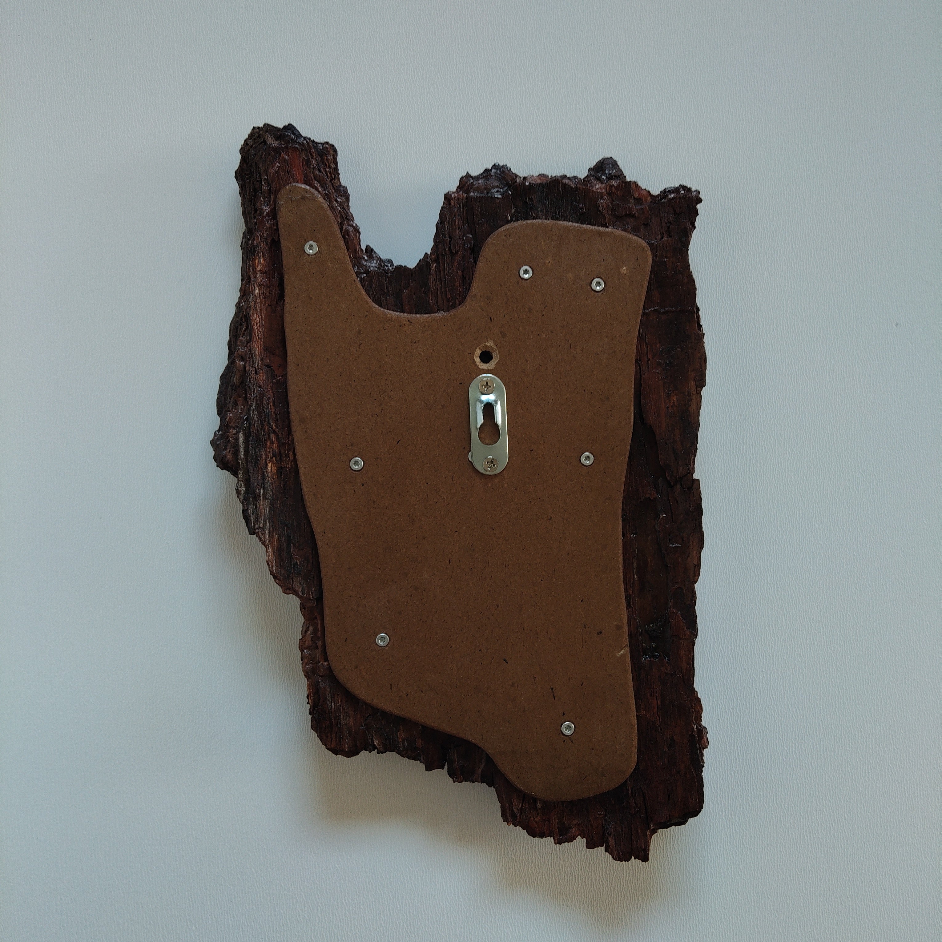 TROPHY MOUNT | SYLVAN COLLECTION 005