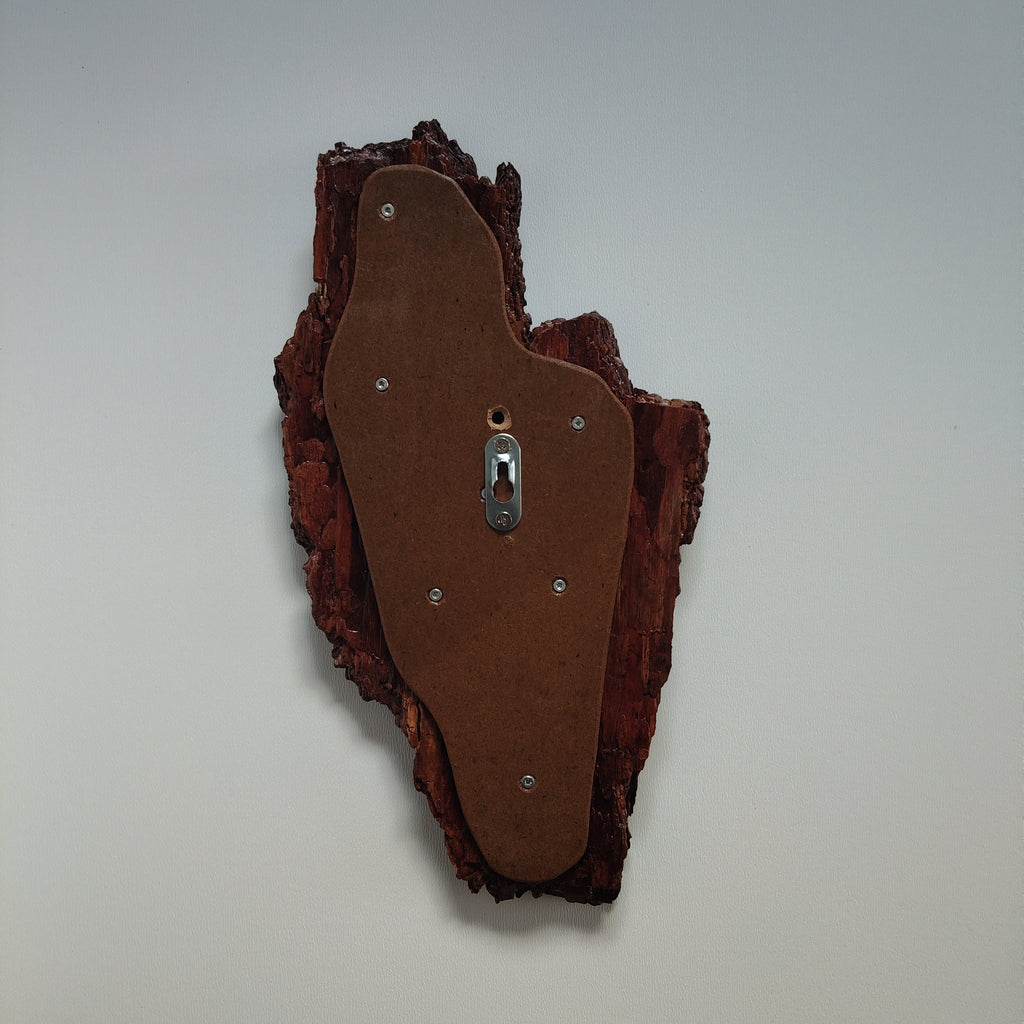 TROPHY MOUNT | SYLVAN COLLECTION 006