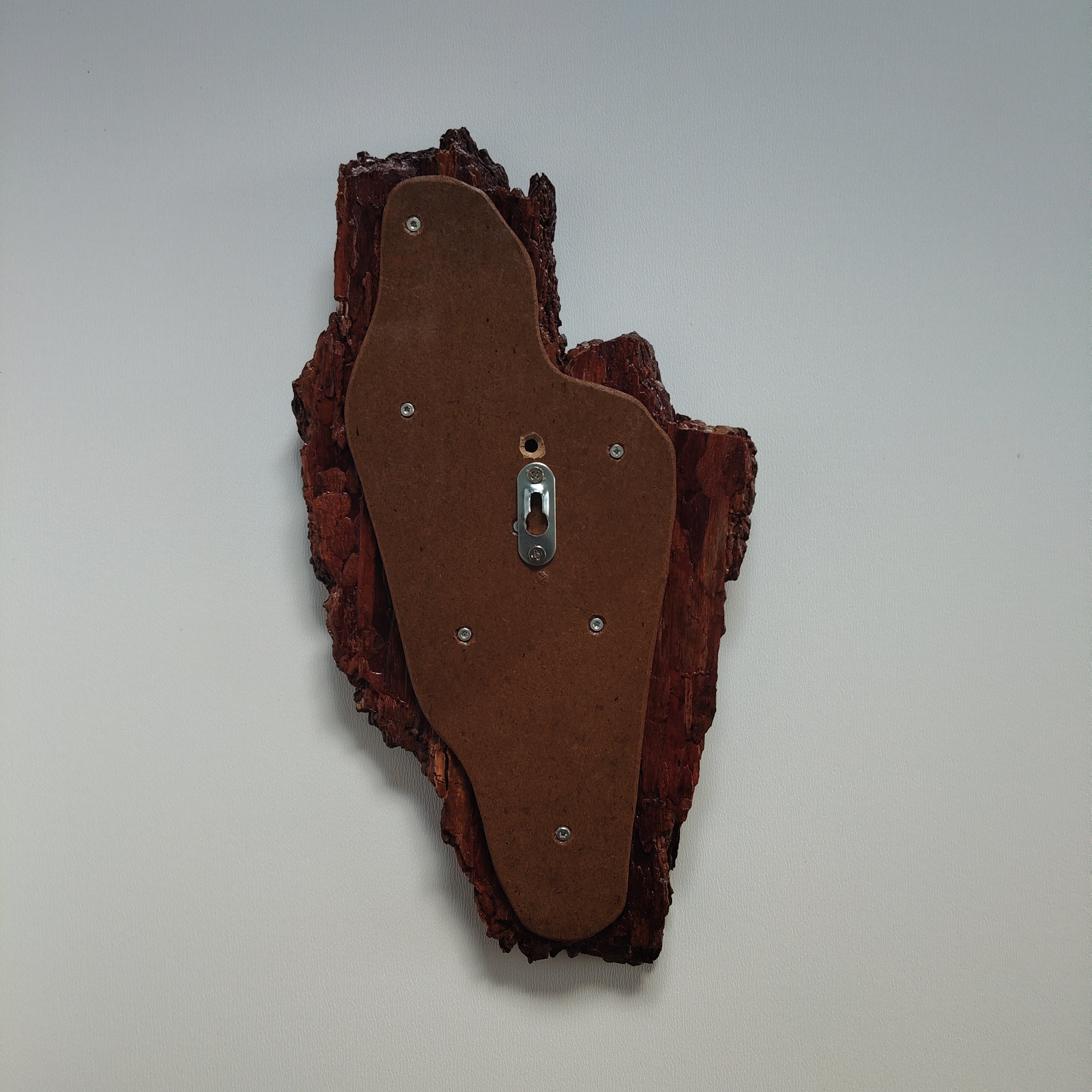 TROPHY MOUNT | SYLVAN COLLECTION 006