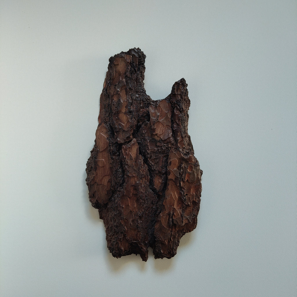 TROPHY MOUNT | SYLVAN COLLECTION 007